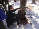 Меткие стрелки