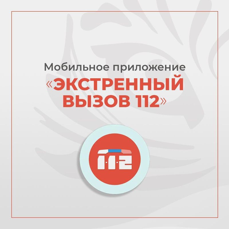Картинка только экстренные звонки