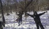 Играем в войнушку....