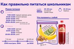 Как правильно питаться школьникам