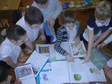  Работа над проектом  (ФГОС) "Мое любимое дерево" учащиеся 4 класса