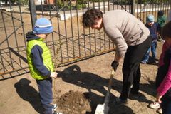 Посадка кустарников.