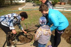 День древонасаждения 2