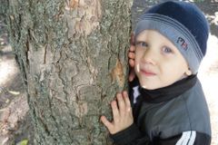 я слышу тебя дедушка Дерево