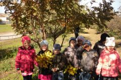 осень золотая