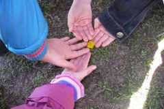 Весеннее солнышко