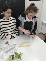 Уроки - исследования