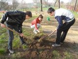 Древонасаждение2014