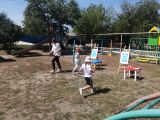 Вперед за ромашкой