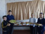 Выставка кулинарных блюд (5-9 классы)