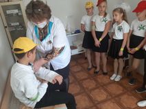 Учимся оказывать первую помощь.