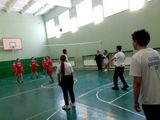 Волейбол