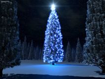 Зимние программы