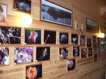 коттедж "Пулонга", оформление внутри