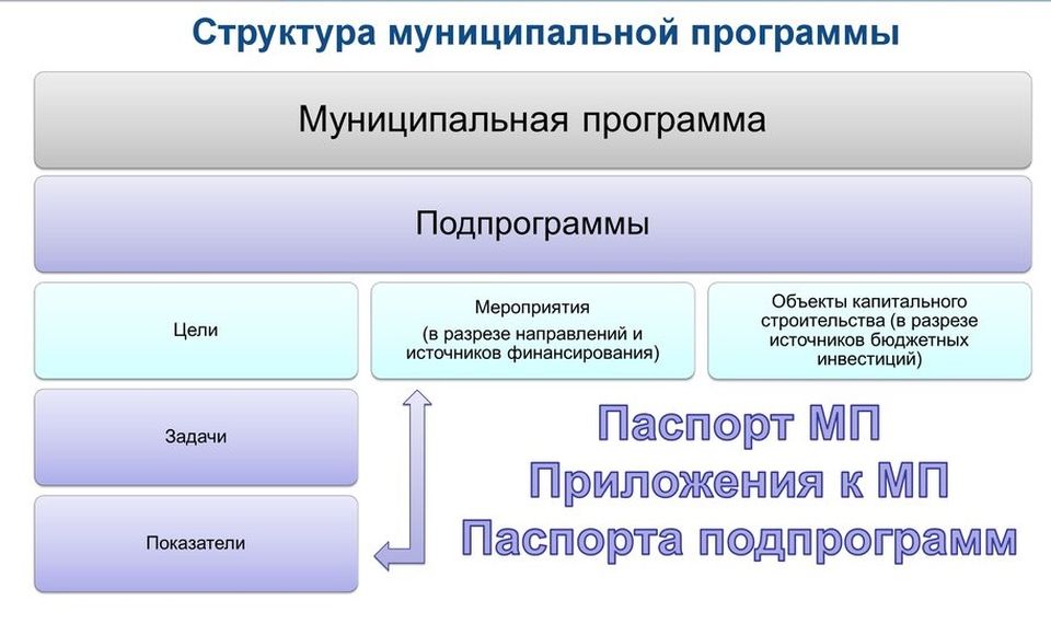 Контрольно счетные органы