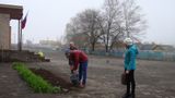 древонасаждение