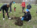 День древонасаждения -2014