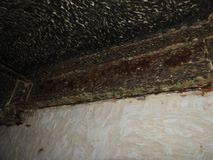 Металлическая лестница до реставрационных работ_Очистка межэтажной площадки и балок опирания.