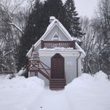 Чайка после проведения работ