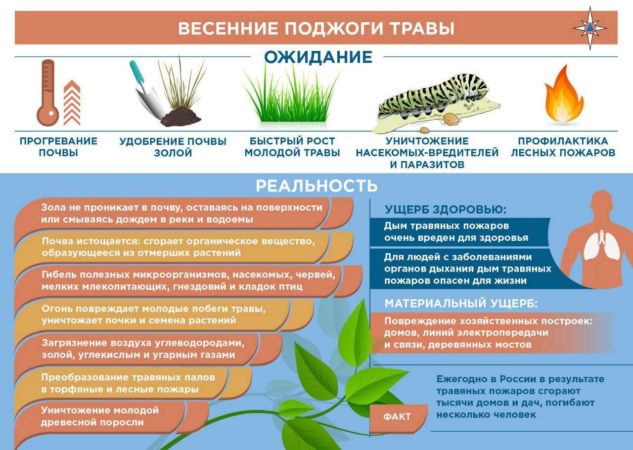 Пал сухой травы презентация