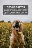 Друзья, мы объявляем акцию "Помоги бездомным собакам"! до 20.07.2026!