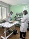 В нашем колледже стартовал демонстрационный экзамен для выпускников
