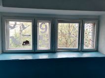 семья Фединых