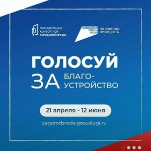 Голосование за благоустройство города