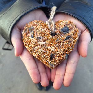 1 апреля - Международный день птиц