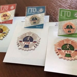 Вручение знака всероссийского физкультурно-спортивного комплекса «ГТО».