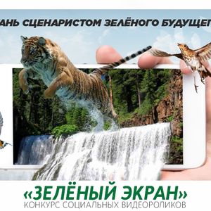 Всероссийский конкурс социальных видеороликов "Зелёный экран"