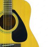 На берегах Невы