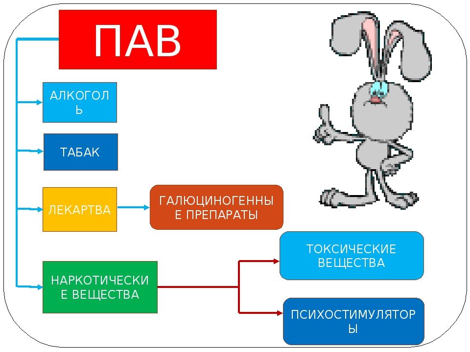 Пав картинки для презентации