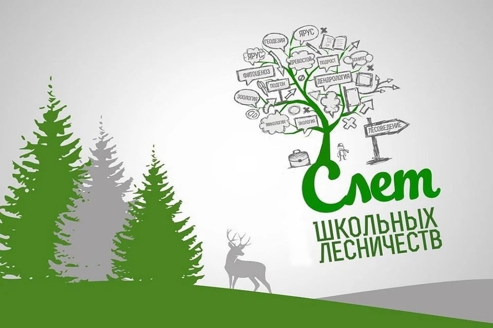 Школьное лесничество картинка