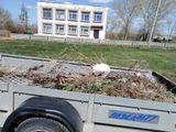 Чернореченский сельский клуб