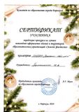 Участник городского конкурса  "Лучшее новогоднее оформление зданий ДОУ"