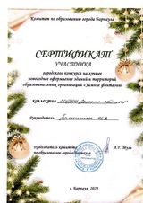 Участник городского конкурса  "Лучшее новогоднее оформление зданий ДОУ"