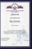 Участие в фестивале "В дружбе народов-единство страны"