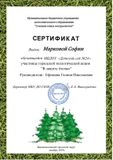 сертификат участника городской экологической акции "В защиту ёлочки"