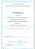 сертификат участника муниципального конкурса творческих работ "Рождественская открытка"