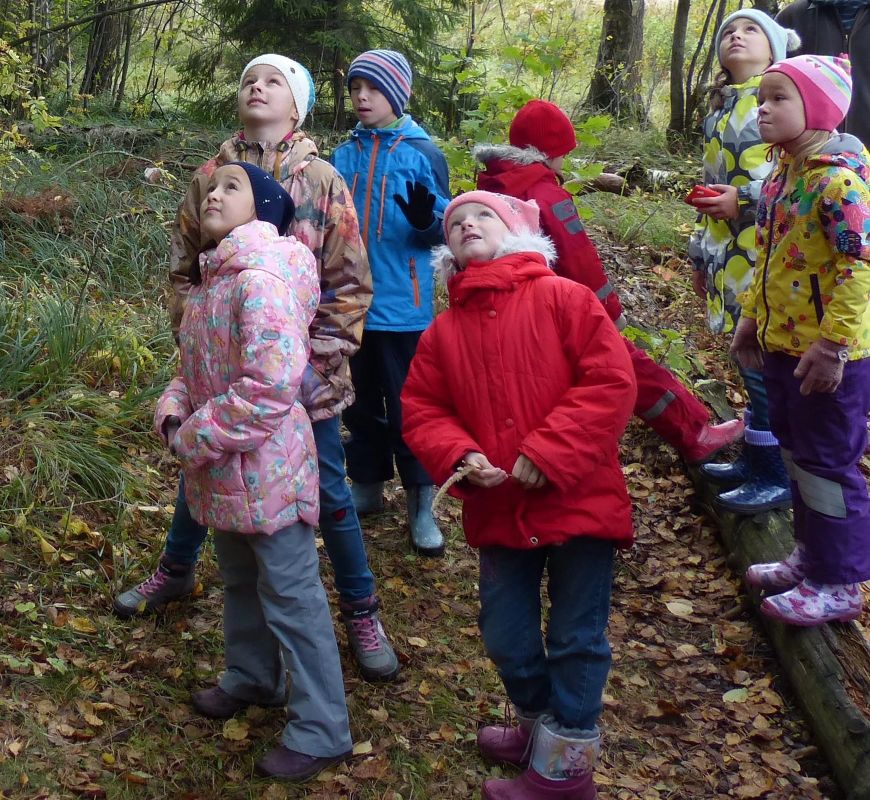 Прогулки детям экскурсии. Дети на экскурсии в лесу. Экскурсия в лес для дошкольников. Экскурсия детского сада в лес. Экскурсия по лесу для дошкольников.