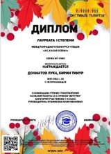 Бирин Тимур, Долматов Лука 3В