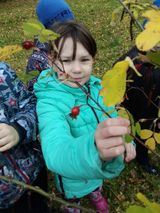 На одном из занятий ребята совершили экскурсию в школьный парк и познакомились с осенними изменениями в природе