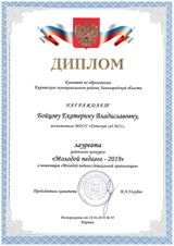Диплом лауреата конкурса "Молодой педагог 2019" - Бойцова Е.А.