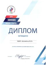 Участие в днях зимних видов спорта