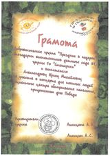 Грамота за участие в добровольческой группе "Праздник в подарок"