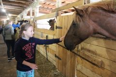 Посещение конного двора "Мезенка"