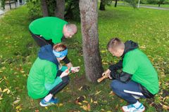 Земля с родины Ломоносова высыпается под голубую ель возле памятника ученому