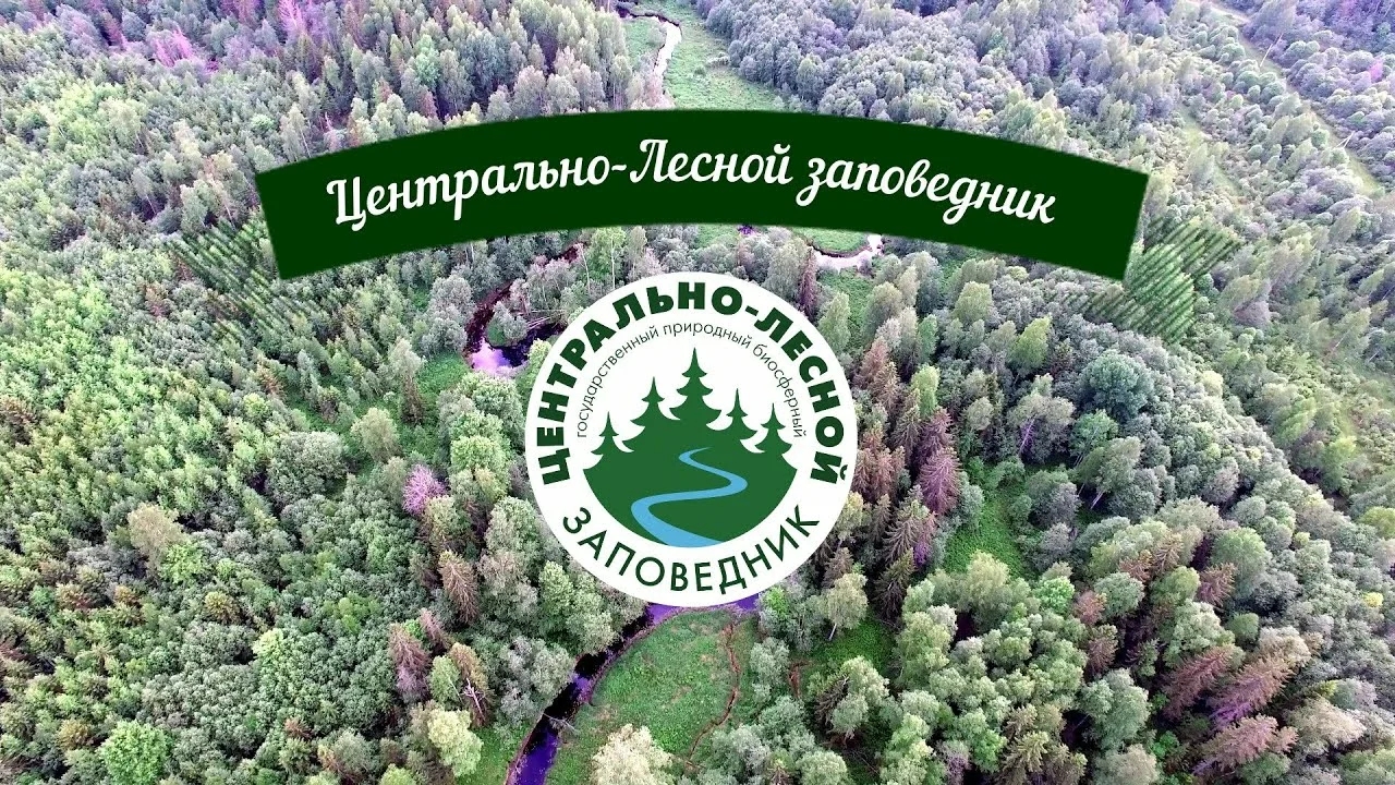 Изображение выглядит как текст, на открытом воздухе, дерево, растение
Содержимое, созданное искусственным интеллектом, может быть неверным.