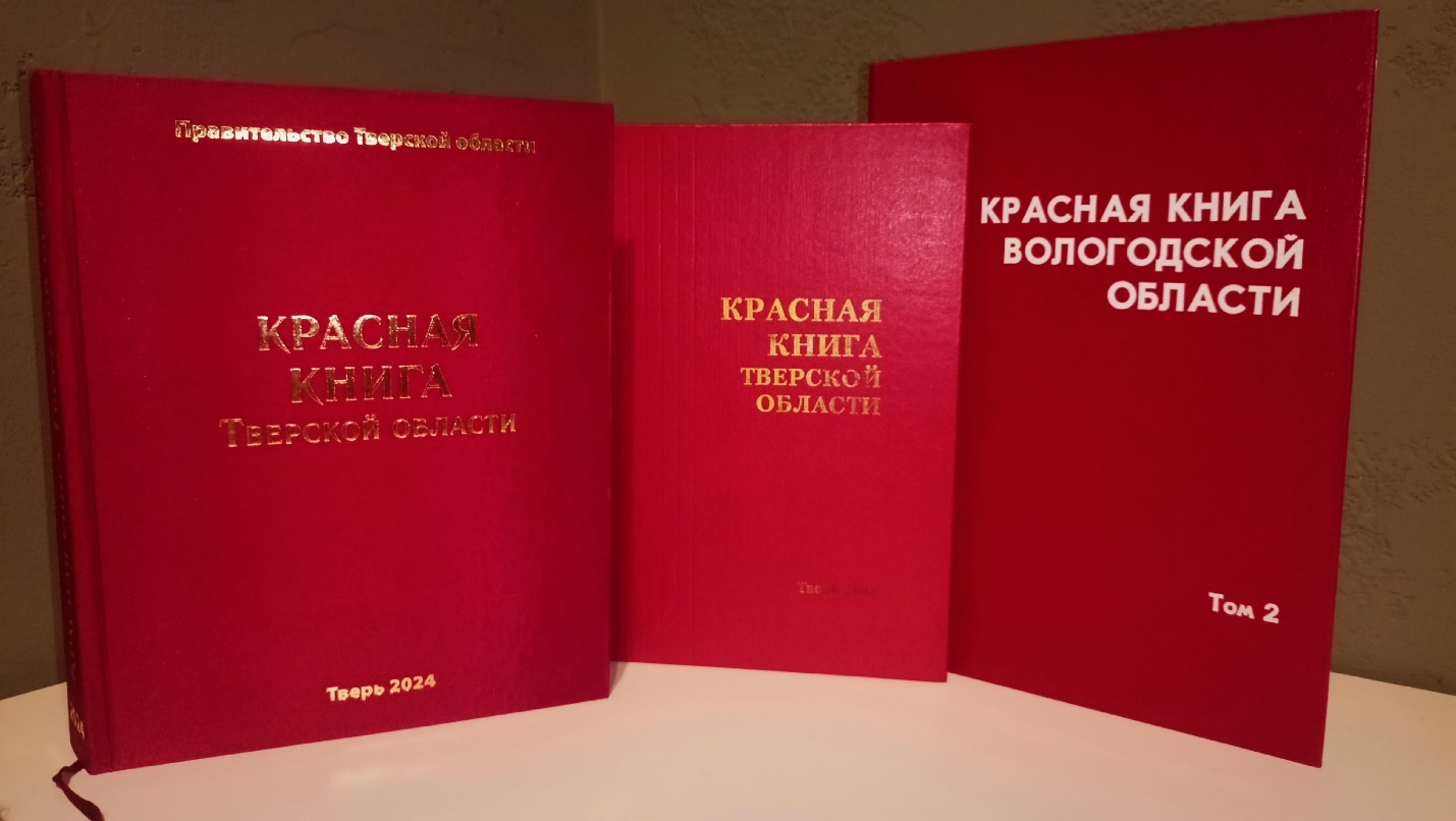Изображение выглядит как текст, книга, канцтовары, Книжная обложка
Содержимое, созданное искусственным интеллектом, может быть неверным.